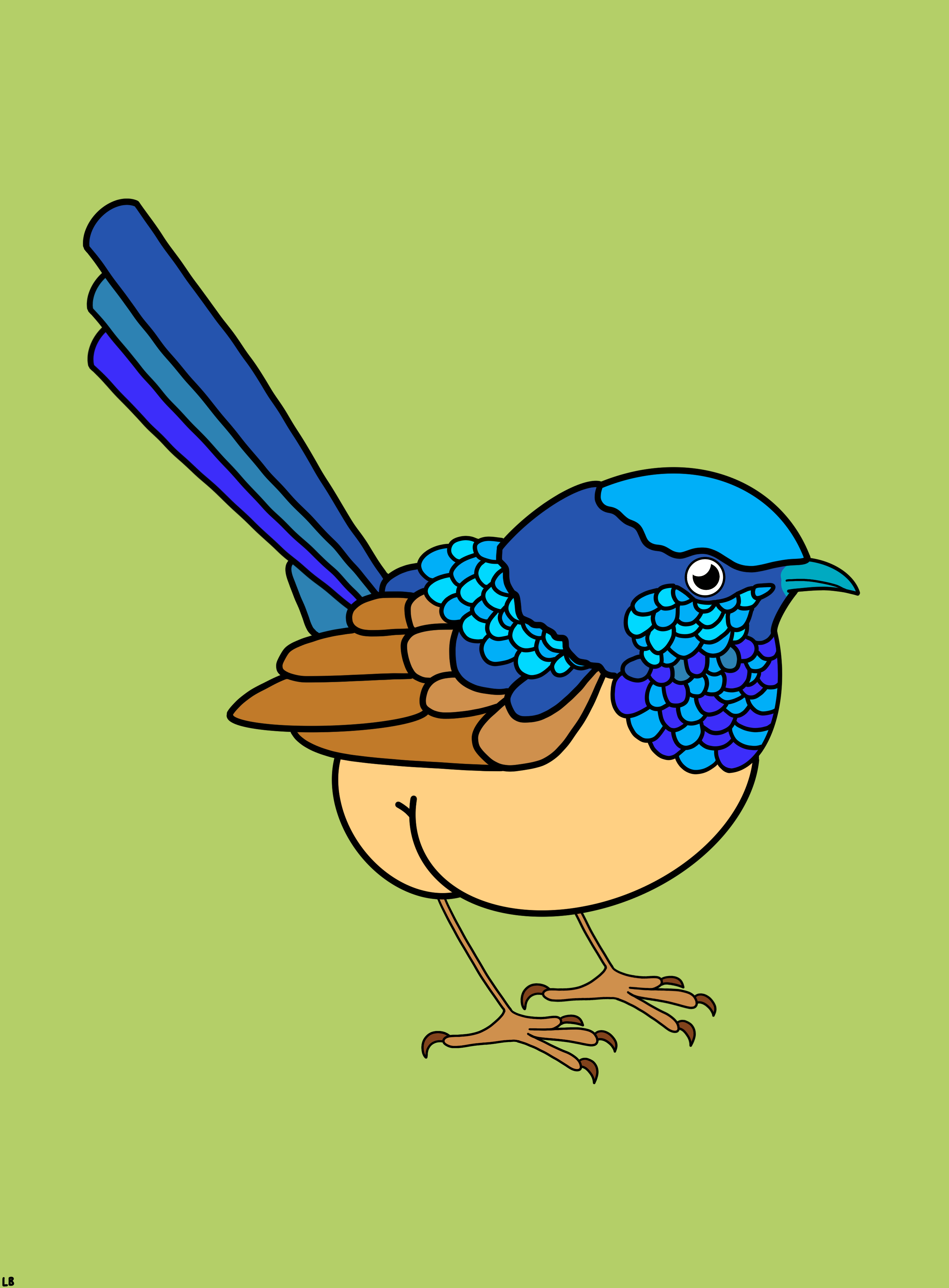 Superb Bum-wren 🍑